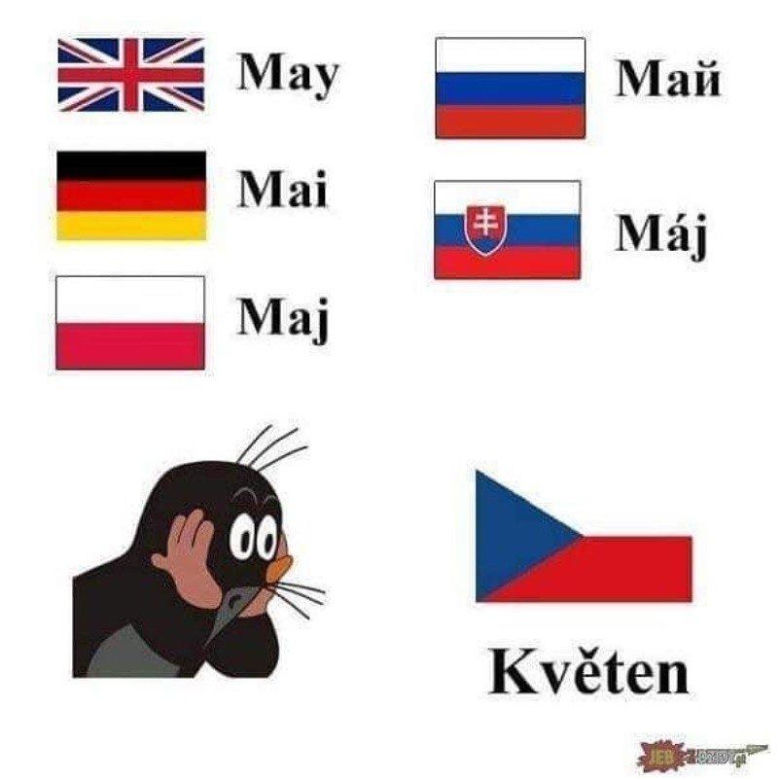 Czeskie memy są najlepsze! Będziecie płakać ze śmiechu