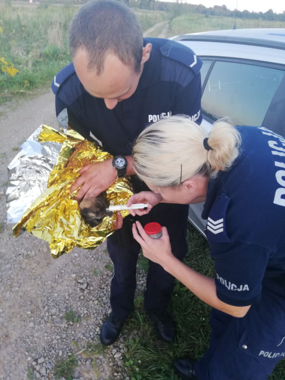 BESTIA wyrzuciła szczeniaka do rzeki i skazała go na śmierć
