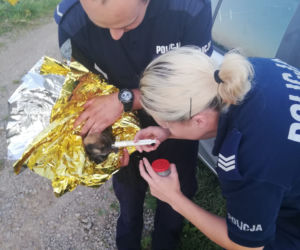 BESTIA wyrzuciła szczeniaka do rzeki i skazała go na śmierć