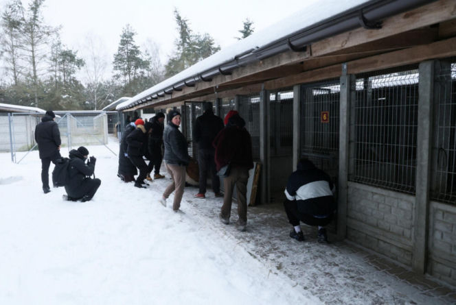 „Maszynka do mielenia mięsa i pałki z krwią”. Kulisy zamknięcia schroniska „Happy Dog”. Co dalej?