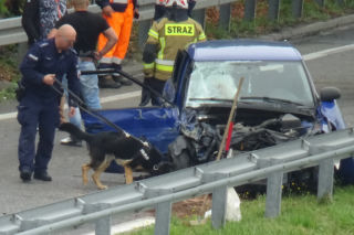 Naćpany złodziej zabił kobietę! Sprawca katastrofy na S8 ZŁAPANY! Nie ukrywał się zbyt długo [GALERIA]
