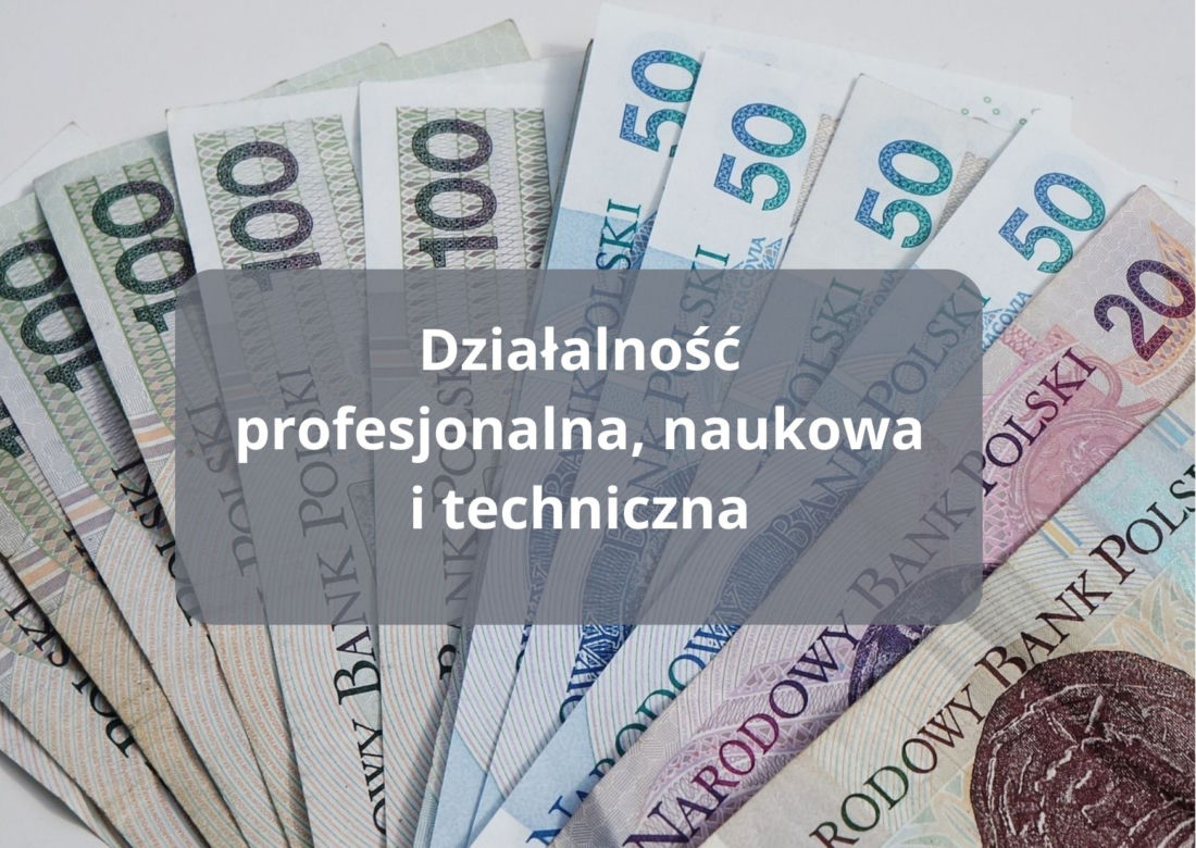Działalność profesjonalna, naukowa i techniczna* 6197,91 zł 