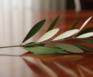 Donald Tusk o końcu wojny. Jaka tajemnica kryje się za jego słowami?