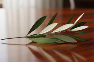 Donald Tusk o końcu wojny. Jaka tajemnica kryje się za jego słowami?