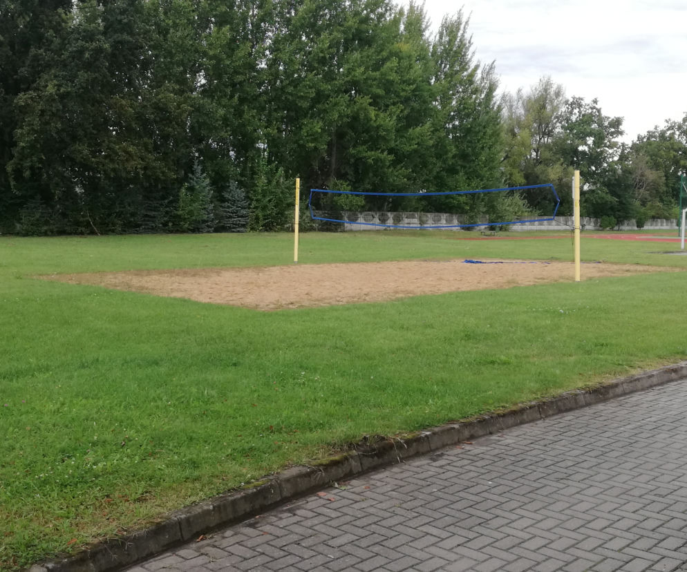 Delfinek ma powstać na terenach zielonych znajdujących się obok hali sportowej przy żmigrodzkiej podstawówce