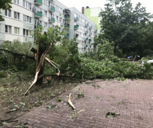 Jedną z dzielnic, któa ucierpiała najbardziej był Czechów Południowy