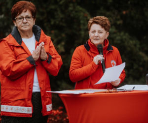 Oby rósł 100 lat! Dąb czerwony na jubileusz 100-lecia PCK