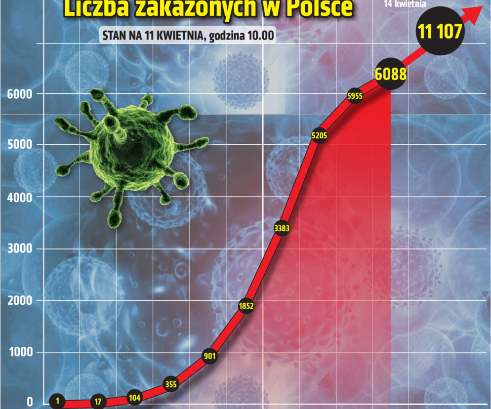 Koronawirus - 11.04.2020 - zobacz najnowsze wykresy