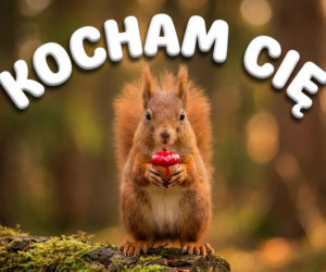 Kartki walentynkowe. Bądź moją Walentynką i kochaj mnie