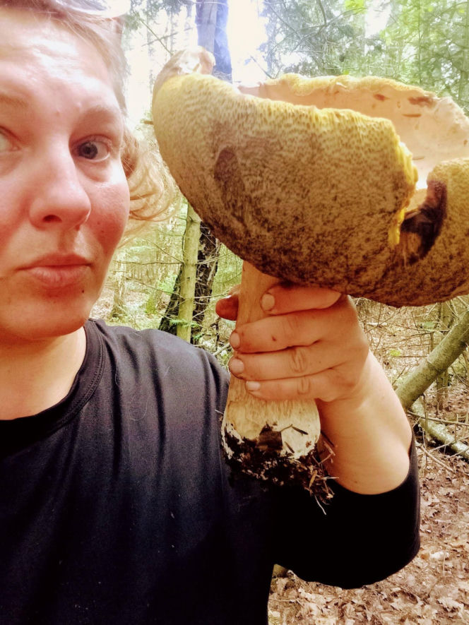 Skarby świętokrzyskich kniei. Dlaczego tegoroczny lipiec to raj dla grzybiarzy?