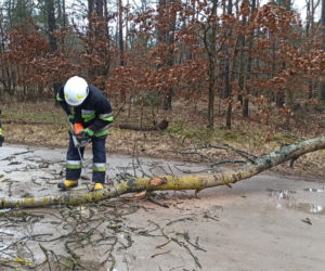 Niż Eunice w Grudziądzu. Straty są ogomne!
