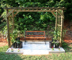Pergola