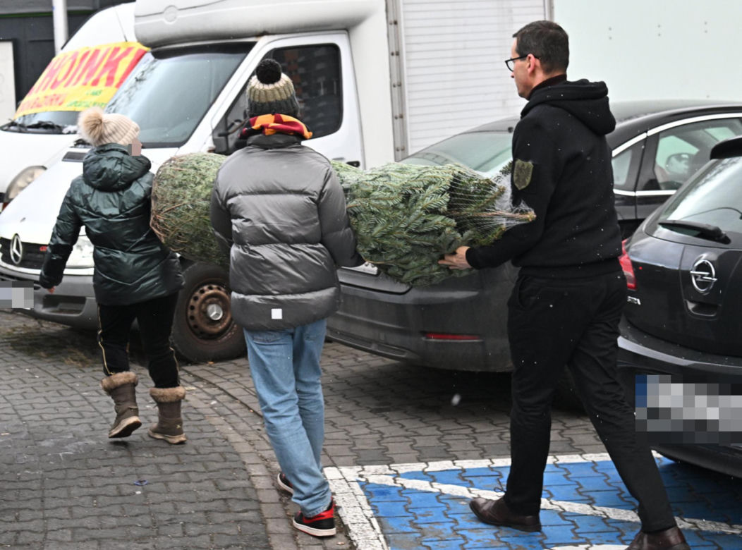 Morawiecki kupuje choinkę na święta