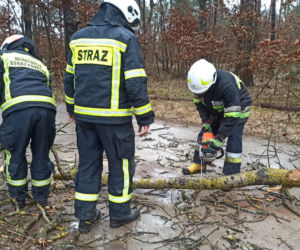 Niż Eunice w Grudziądzu. Straty są ogomne!