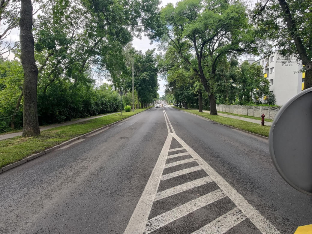 "Wyleciał mi przed maskę"