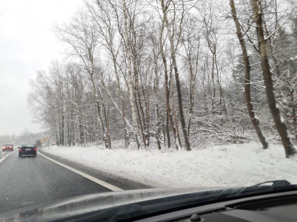 Zima na Podkarpaciu  [ZDJĘCIA]