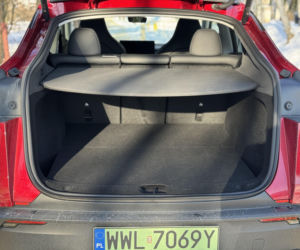 Model Y (Performance)