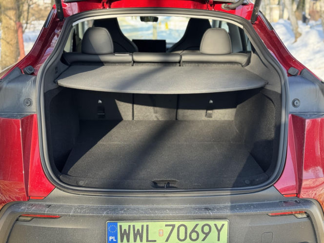 Model Y (Performance)