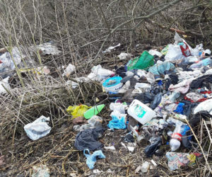 Stosy śmieci w Lesie Bródnowskim