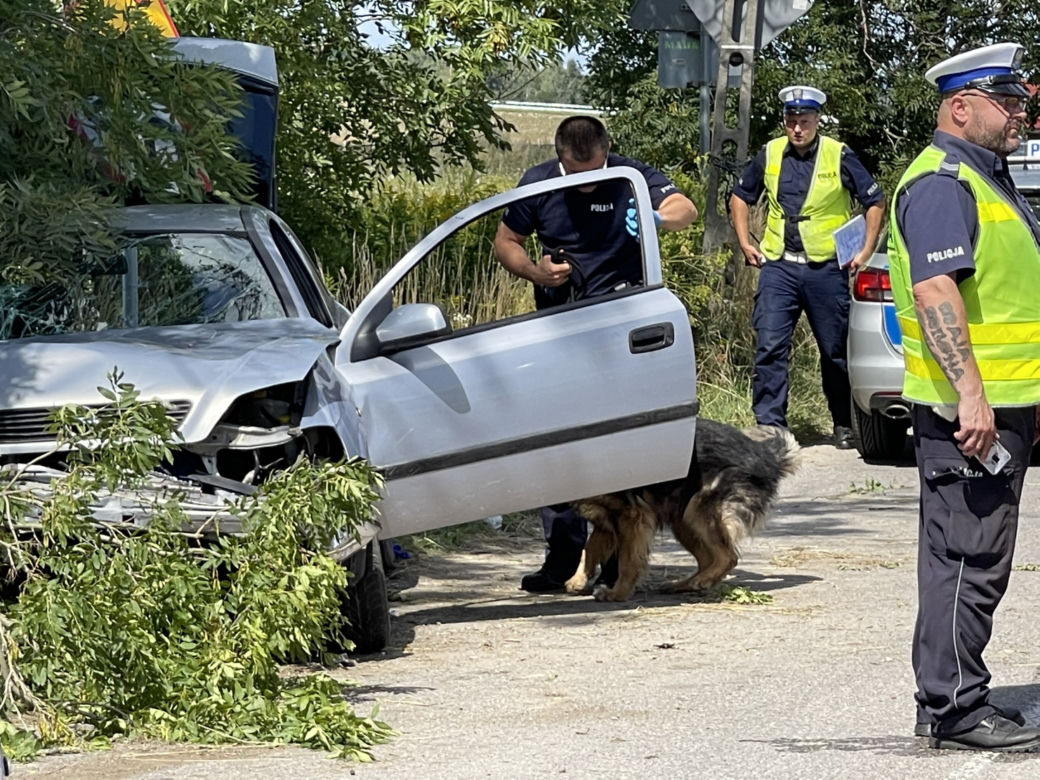 Rąbnął w drzewo, zostawił nieprzytomnego pasażera na pastwę losu.