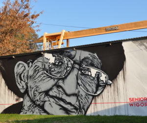 Murale w Starachowicach
