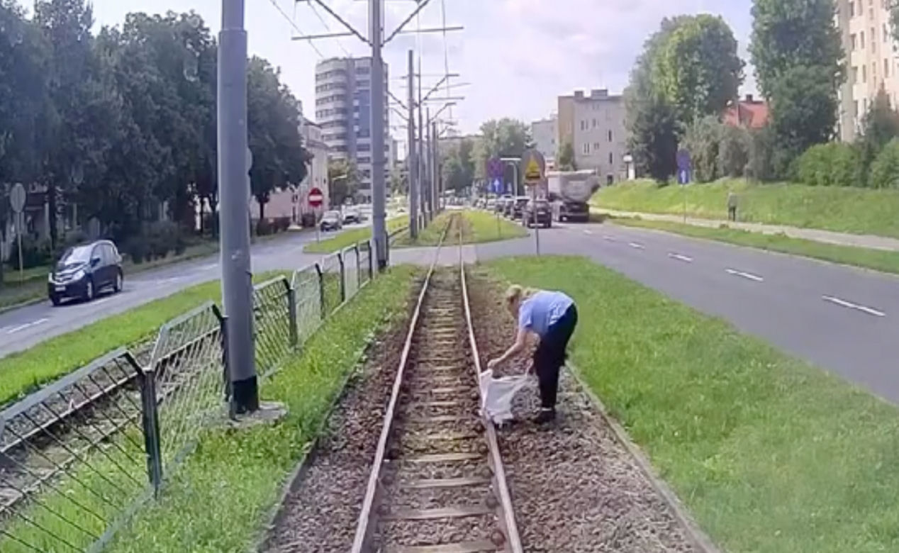 Motornicza uratowała mewę