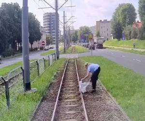 Motornicza uratowała mewę