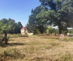 To jedno z najpiękniejszych miast na Śląsku. Czaruje jedynym takim pałacem myśliwskim w Polsce