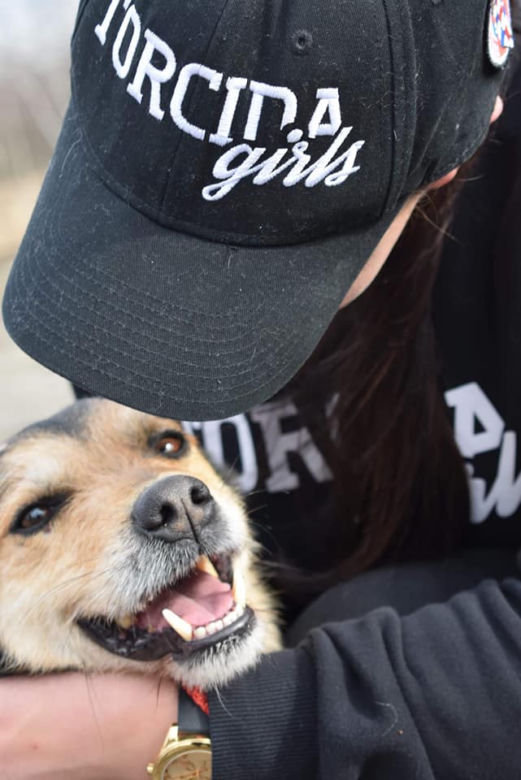 Dziewczyny z Torcida Girls zorganizowały zbiórkę na schronisko dla zwierząt. Zachęcaja wszystkich do pomocy [ZDJĘCIA]