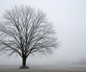 Pogoda w Siedlcach 20.11.2025. Kiedy w końcu przyjdzie prawdziwa zima?