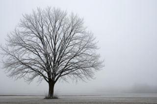 Pogoda w Siedlcach 20.11.2025. Kiedy w końcu przyjdzie prawdziwa zima?