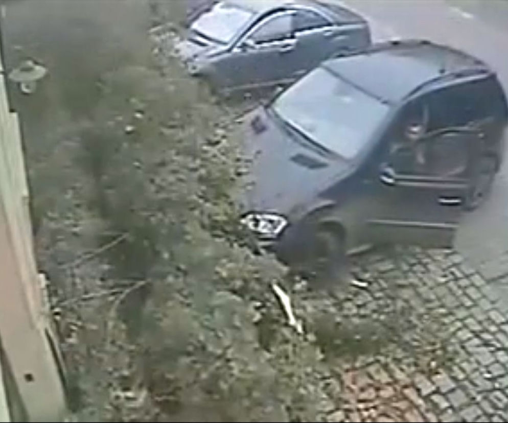Wrocław, Mercedesy, spadające drzewo