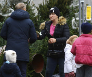 Premier Donald Tusk ma gest? Kupił dwie choinki i odmówił reszty