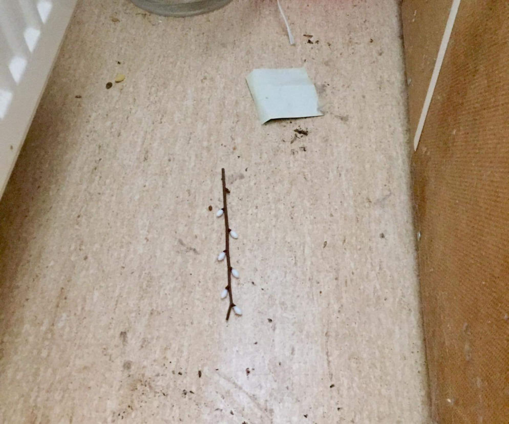 To wszystko Twoja wina. Ty do tego doprowadziłeś
