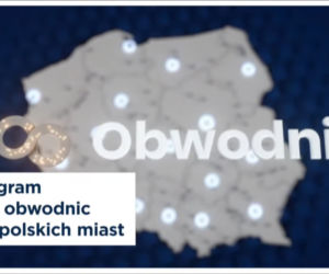Nowy ład PiS
