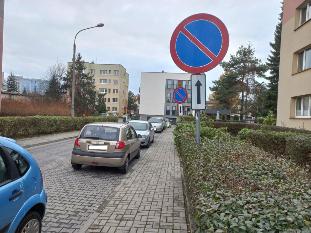Tak parkują "miszczowie parkowania" z Katowic. Strażnicy miejscy rozkładają ręce 