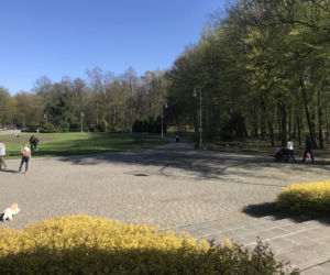 Katowice: Tłumy w Parku Kościuszki. Mieszkańcy ruszyli na spacery