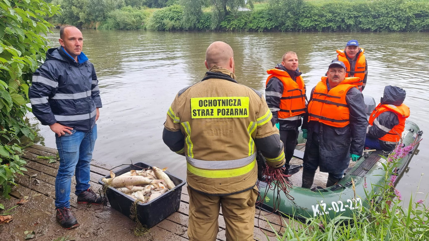 Strażacy rozciągnęli specjalną zaporę. Ma wyłapywać martwe ryby płynące z Czech