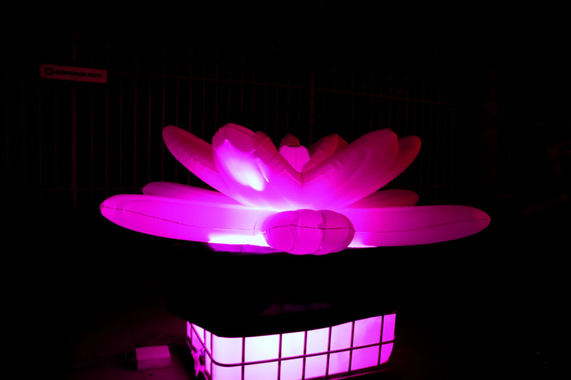 11. Bella Skyway Festival w Toruniu