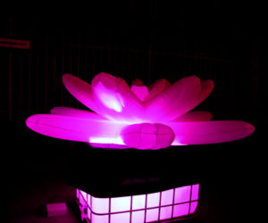11. Bella Skyway Festival w Toruniu