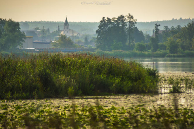 Zalew Pasternik w Starachowicach