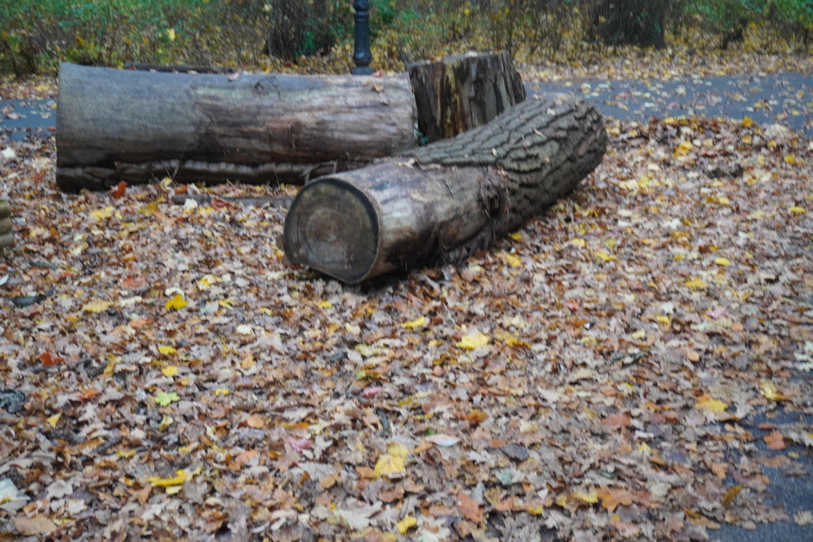 Park Sołacki w Poznaniu jesienią