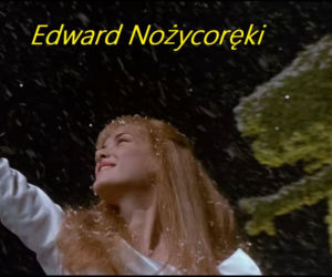 To idealna propozycja dla tych, którzy szukają czegoś innego