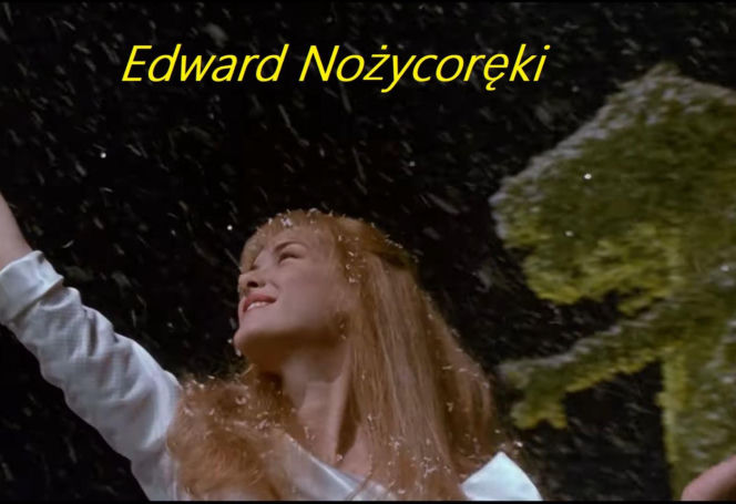 To idealna propozycja dla tych, którzy szukają czegoś innego