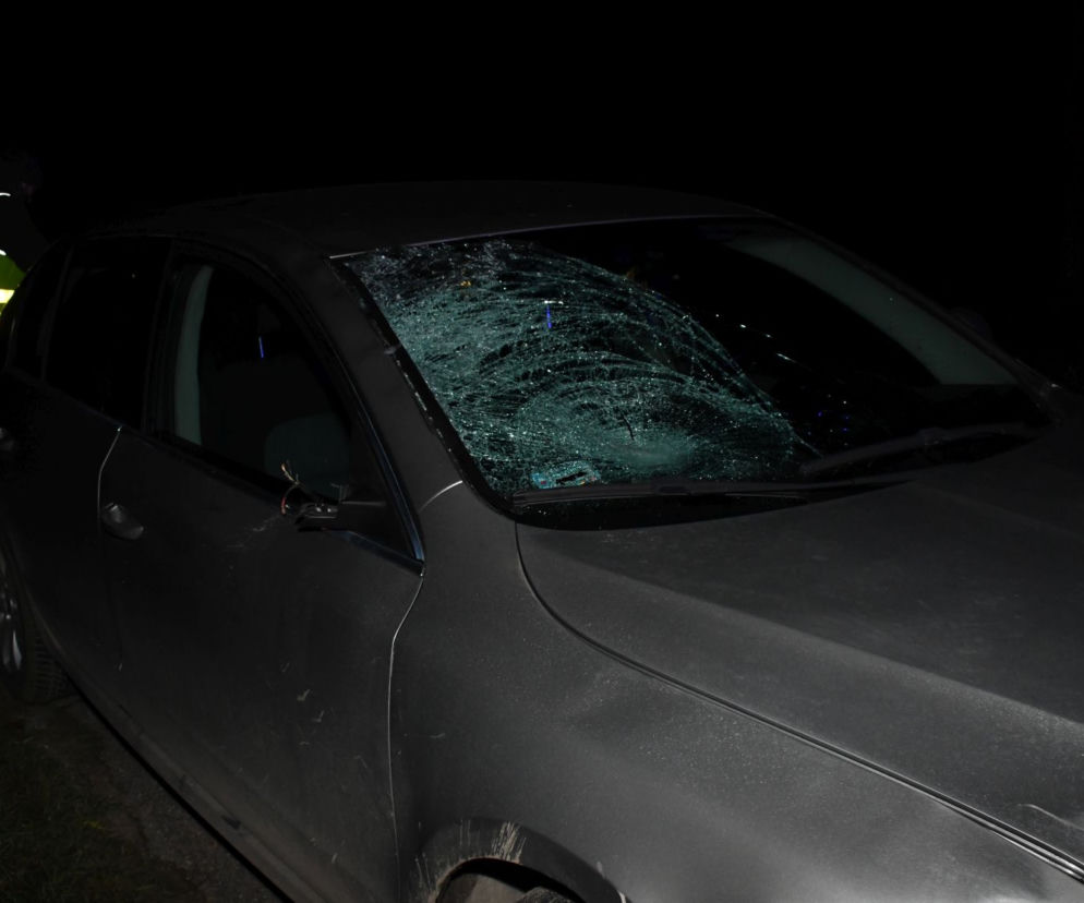 Młodynin. Pijany kierowca ZABIŁ 14-latkę! ZDJĘCIA z wielkiej tragedii na drodze