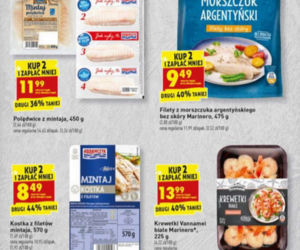 promocje w Biedronce