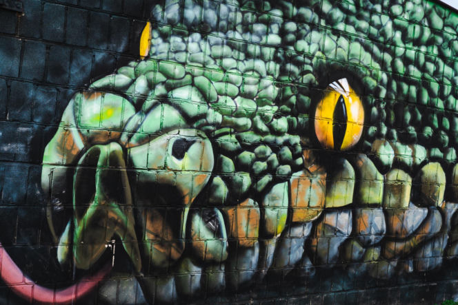 Przy ul. Mieszka I w Siedlcach można podziwiać całą galerię murali i graffiti