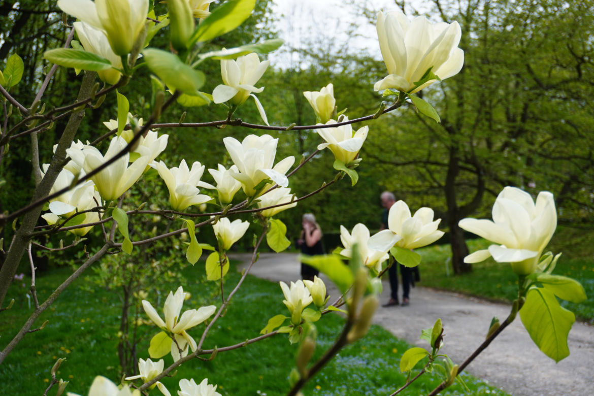 Ogród Botaniczny w Lublinie