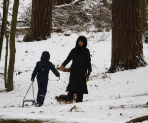 Marta Kaczyńska z synem i psami na sankach w lesie