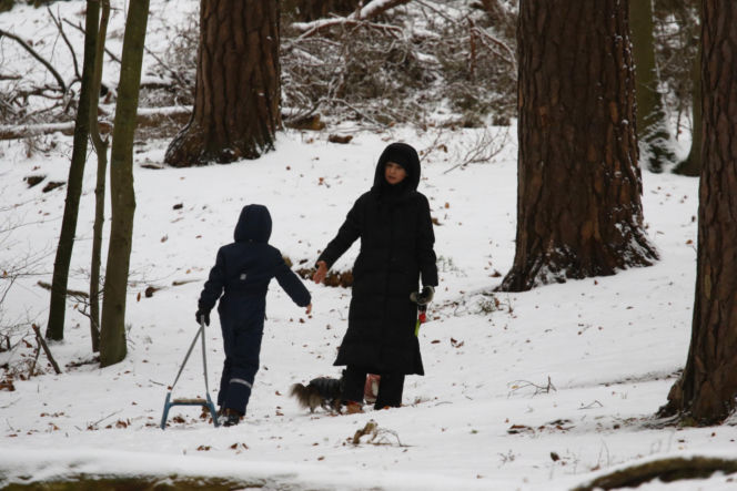 Marta Kaczyńska z synem i psami na sankach w lesie